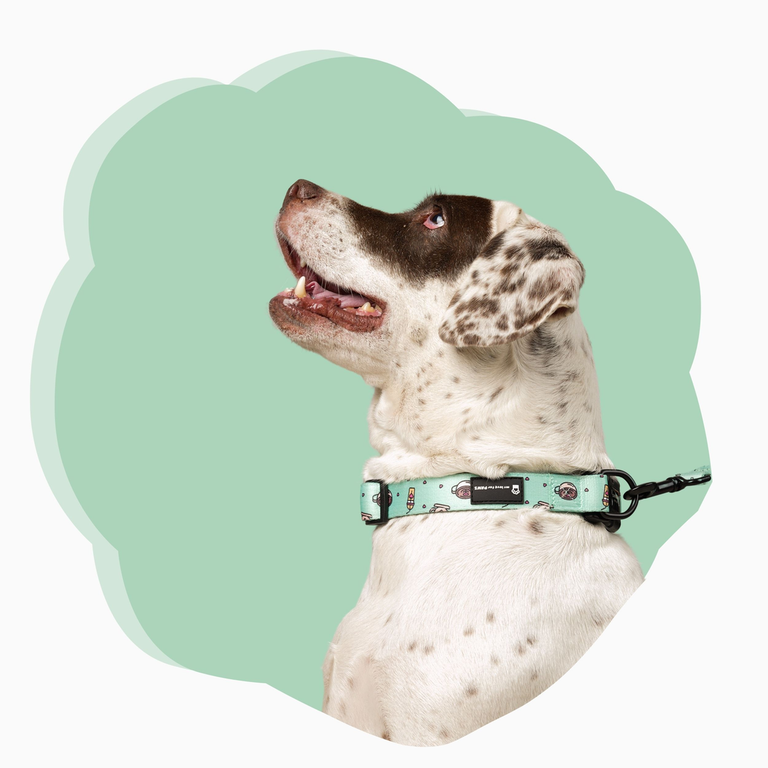 Collars