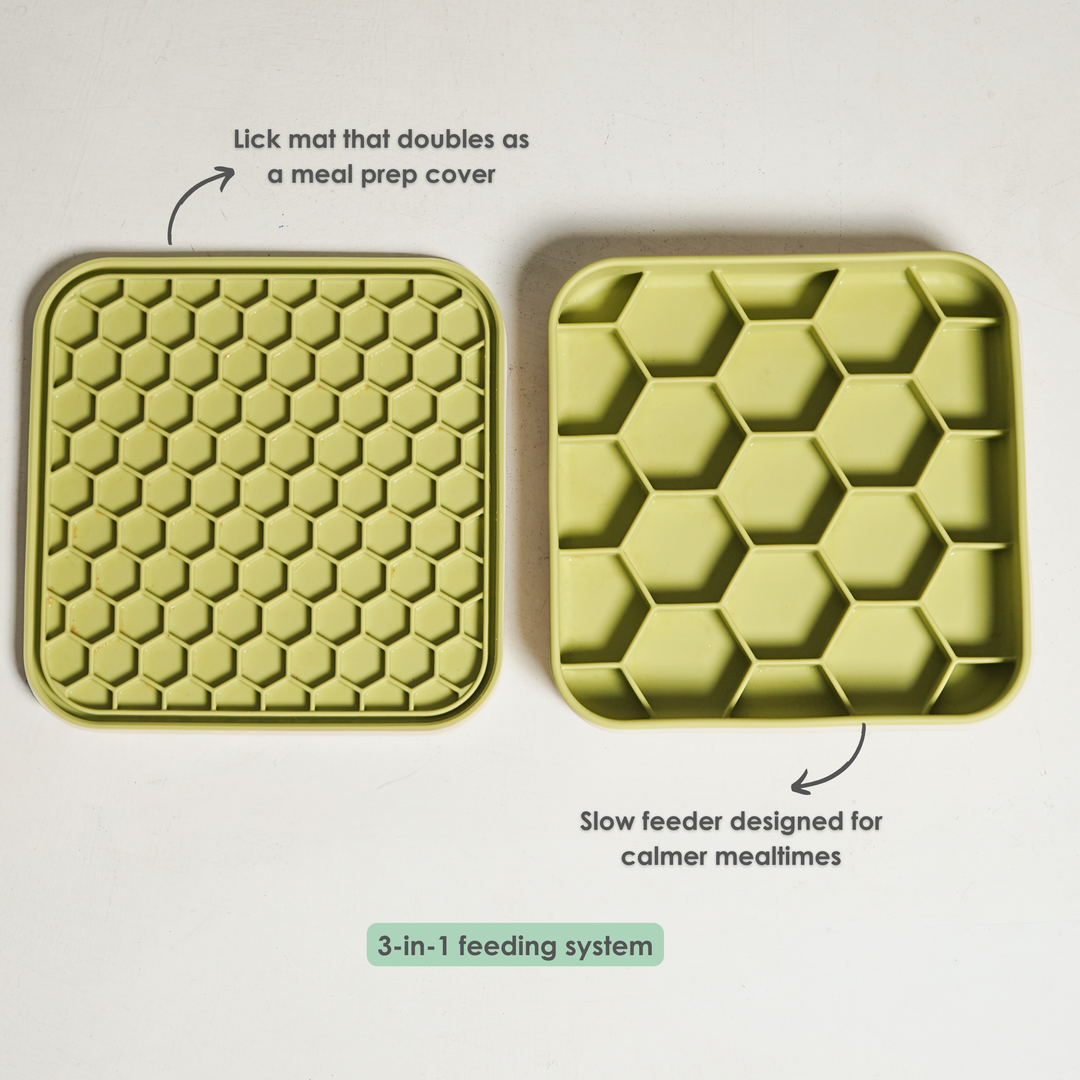 Hive 3-in-1 Slow Feeder Bowl- Matcha