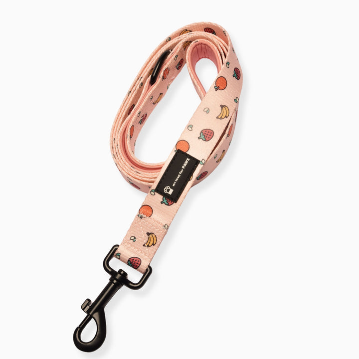 Leash- Fruitella