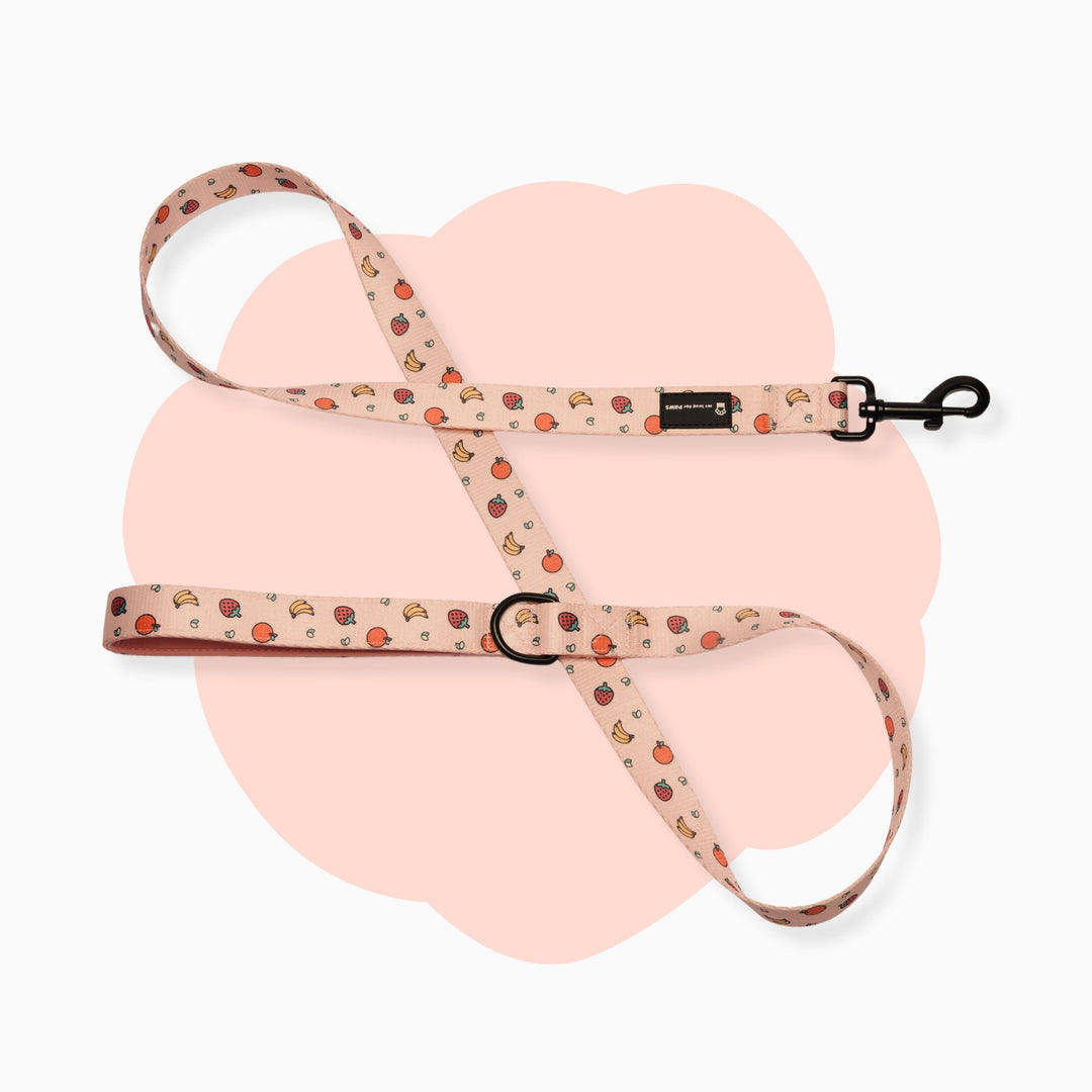 Leash- Fruitella