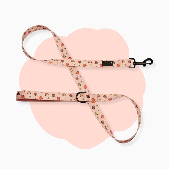Leash- Fruitella