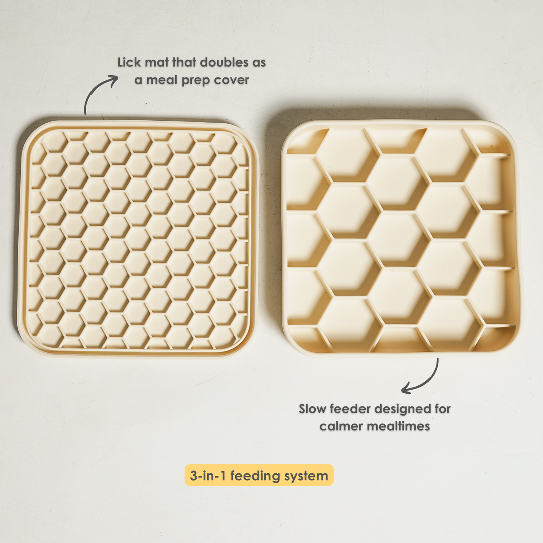 Hive 3-in-1 Slow Feeder Bowl- Oatmilk