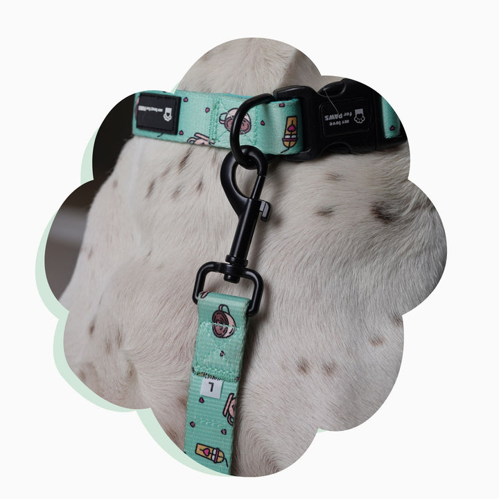 Collar- Donut Dreams