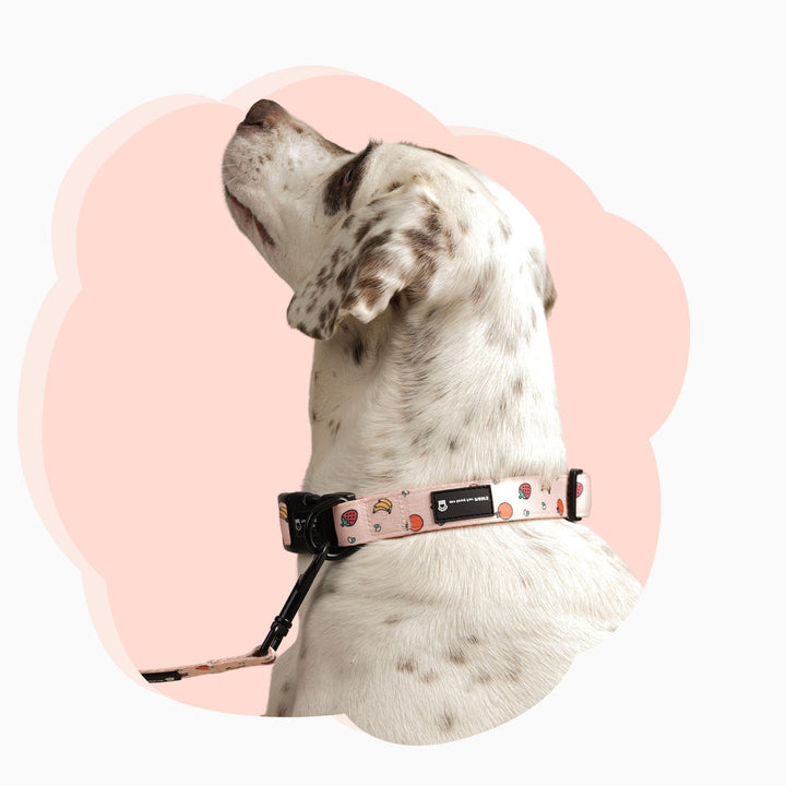 pink-fruits-dog-collar