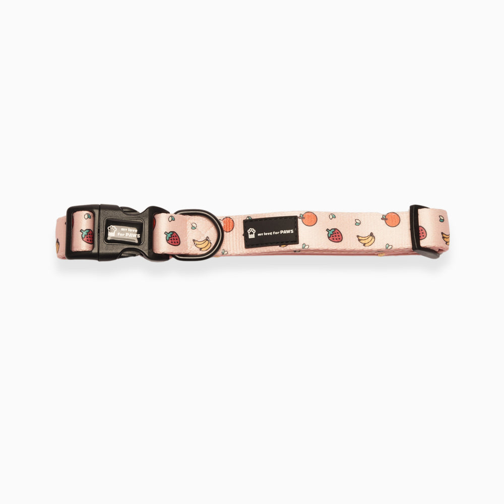 Pink Fruits Dog Collar