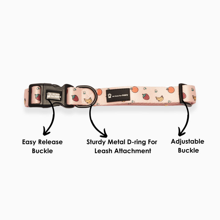Pink Fruits Dog Collar | Playful, Stylish & Durable Pet Collar