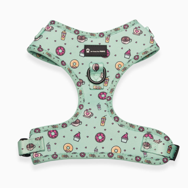 Donut Dreams Bundle