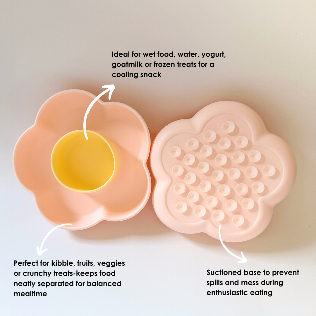 Pastel pink 2-in-1 Pet Bowl – Durable Dual Compartment Cat and Dog Feeding Dish