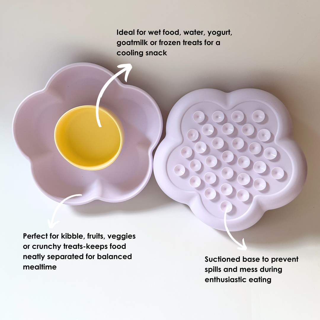 Cute Flower Pet Bowl – Durable Dual Compartment Cat and Dog Food Bowl