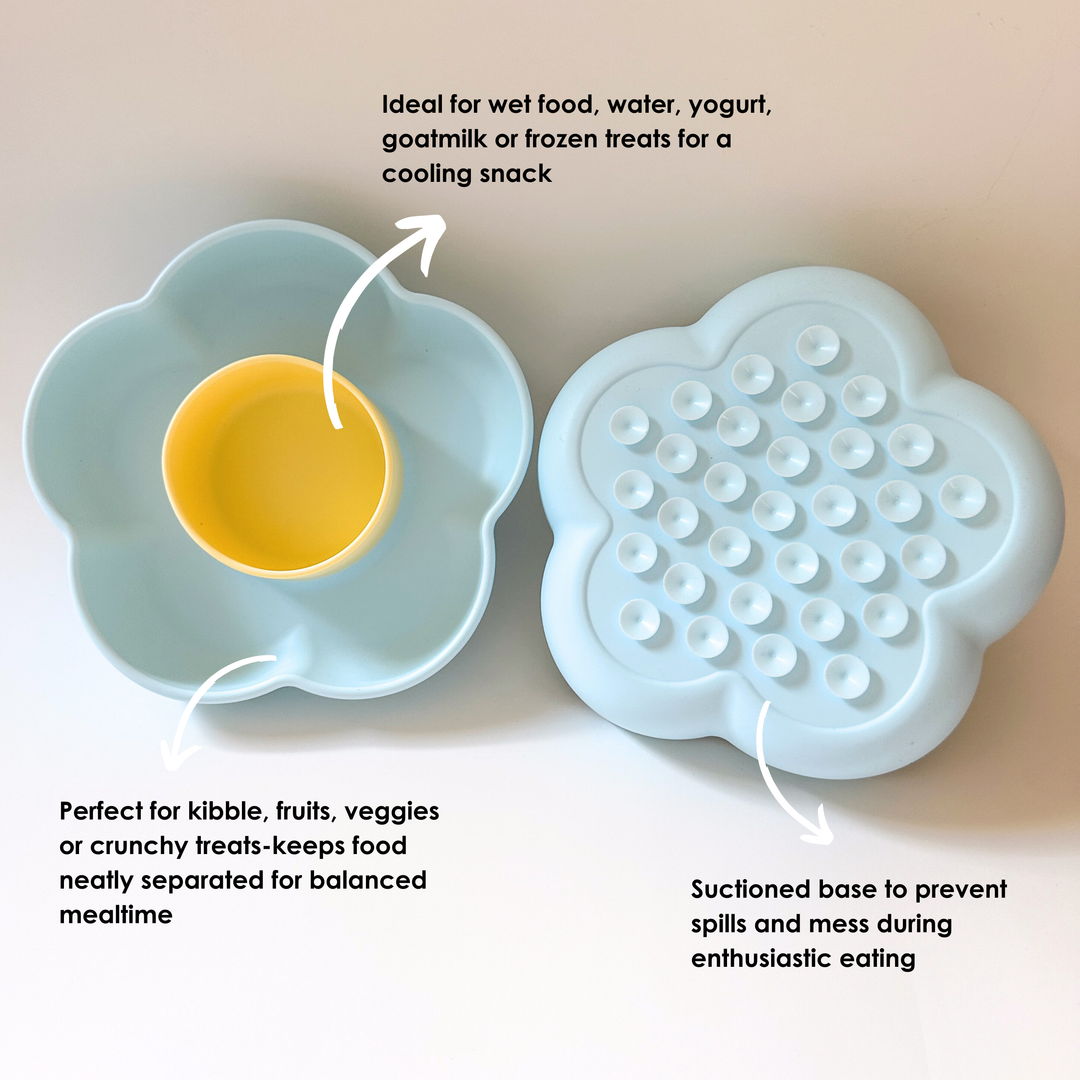 Flower-shaped Blue Pet Bowl – Double Compartment Food and Water Bowl for Cats & Dogs