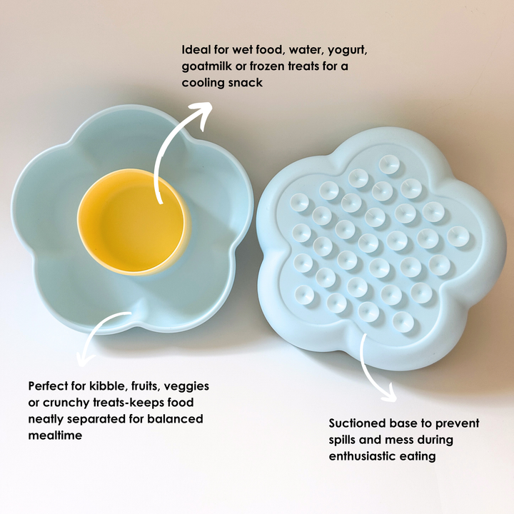 Flower-shaped Blue Pet Bowl – Double Compartment Food and Water Bowl for Cats & Dogs
