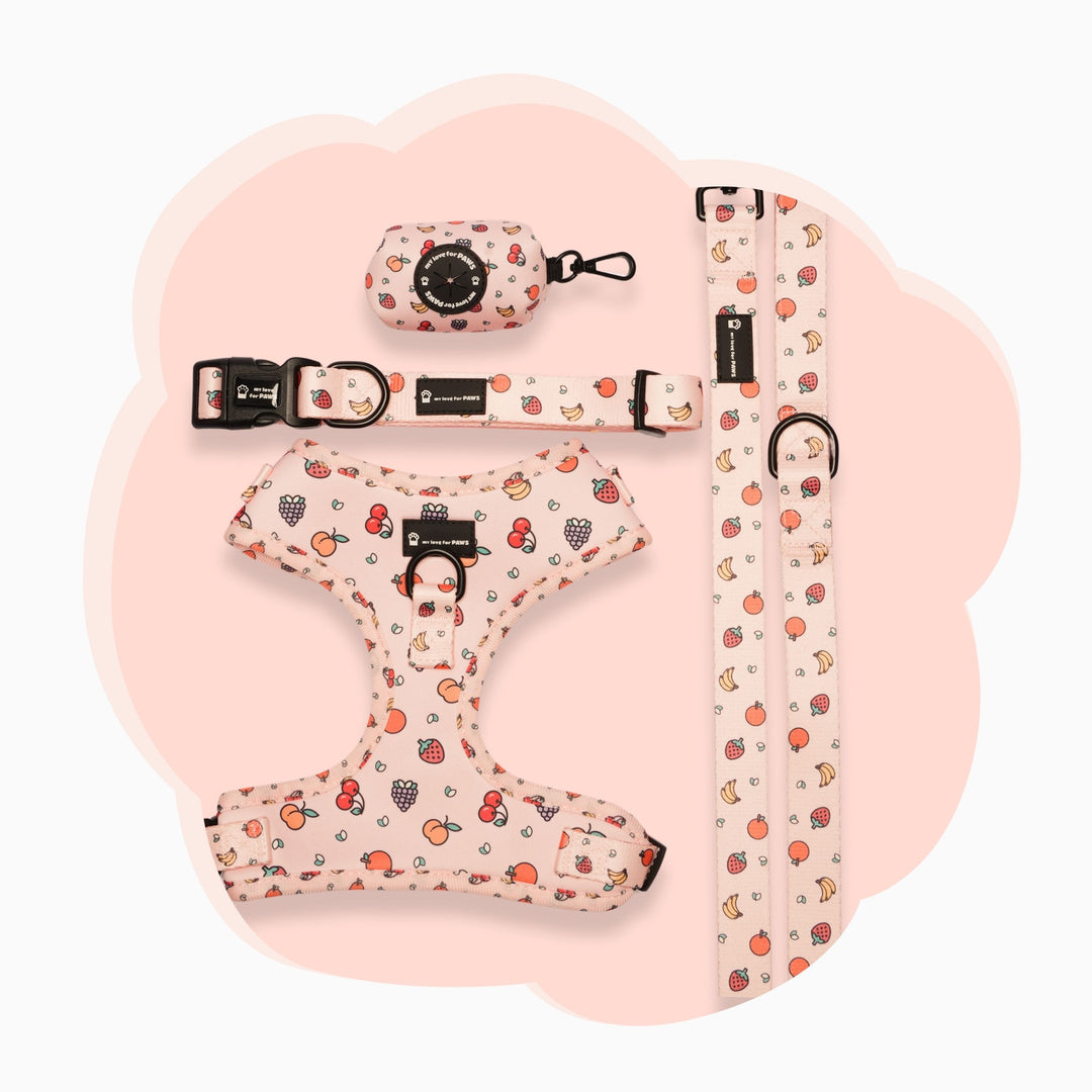 Fruitella Pet Bundle – Leash, Collar, Harness and Poop Bag with Fruit Design