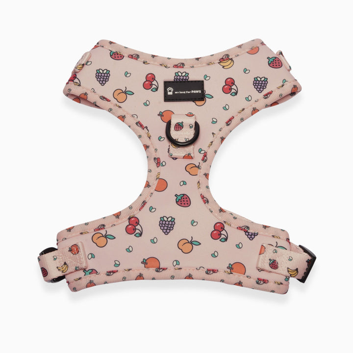 Fruitella Bundle