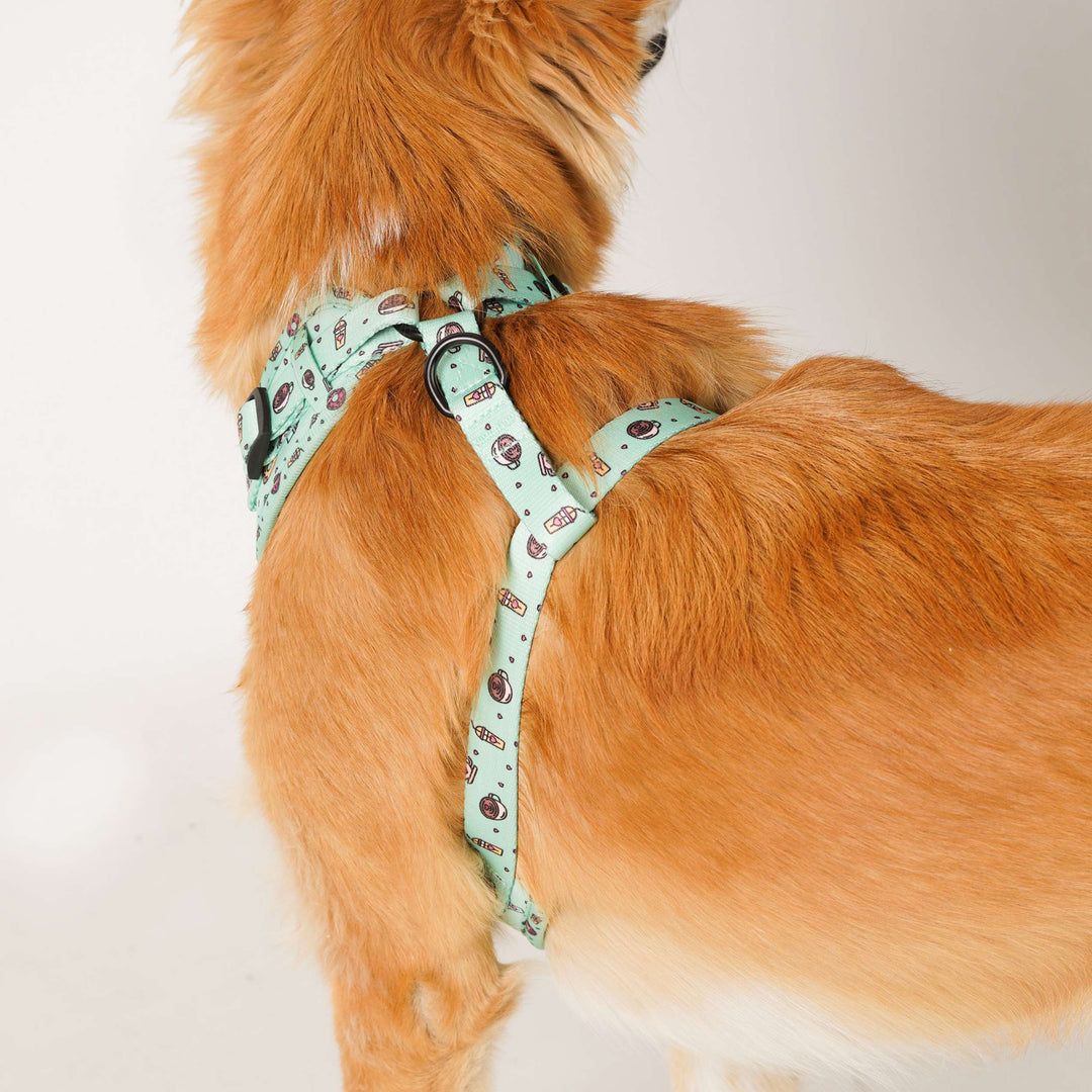 Side view of dog wearing Green Donut harness – secure and comfortable fit