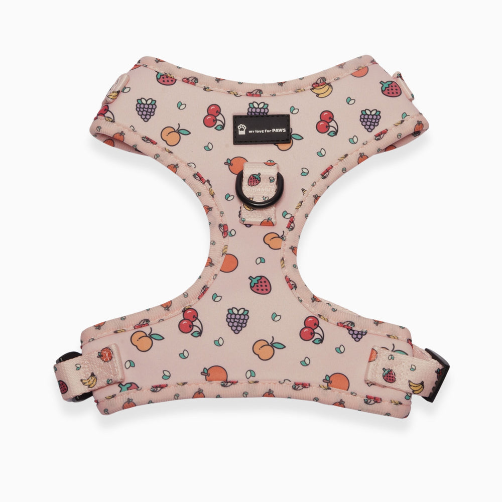 Front view of Pink Fruits dog harness – breathable and durable design