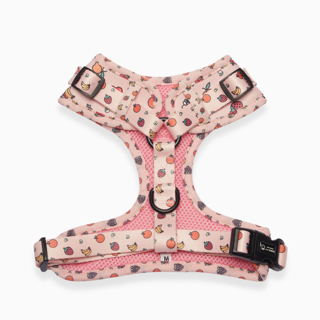 Back view of Pink Fruits dog harness – adjustable and secure straps