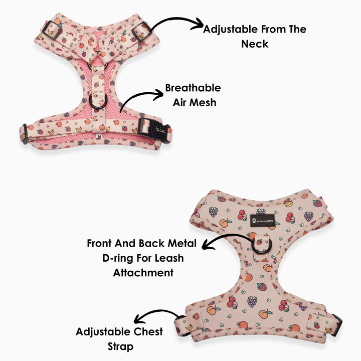 Pink Fruits dog harness with leash – ergonomic and safe for walks