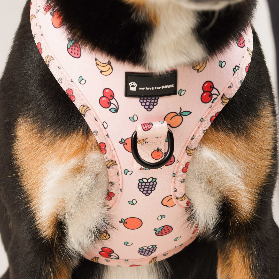 Close-up of Pink Fruits dog harness pattern – playful fruit design