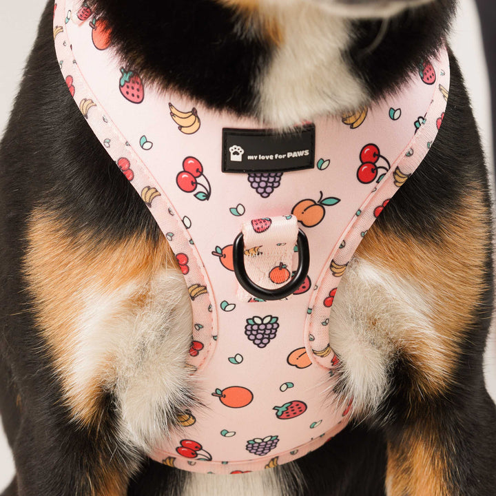 Close-up of Pink Fruits dog harness pattern – playful fruit design