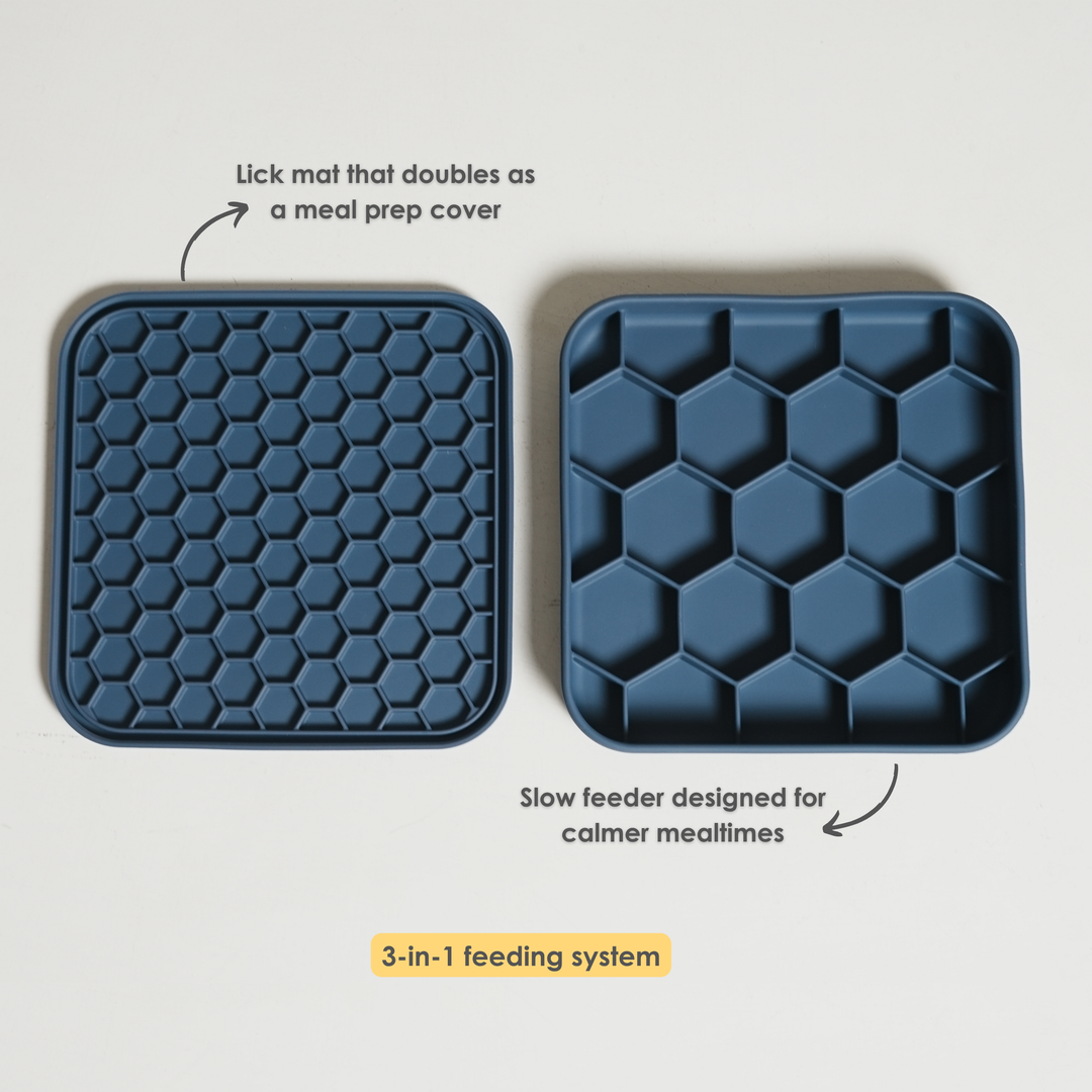 Hive 3-in-1 Slow Feeder Bowl- Navy Bean