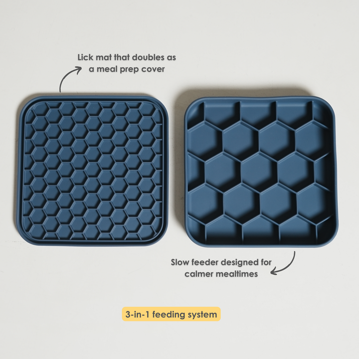 Hive 3-in-1 Slow Feeder Bowl- Navy Bean