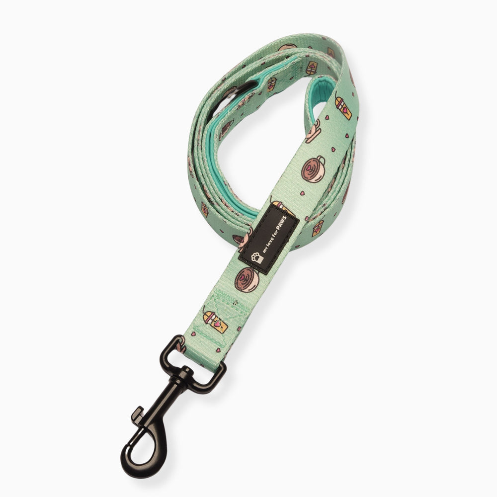 Durable nylon dog leash in mint green with donut design and strong clasp