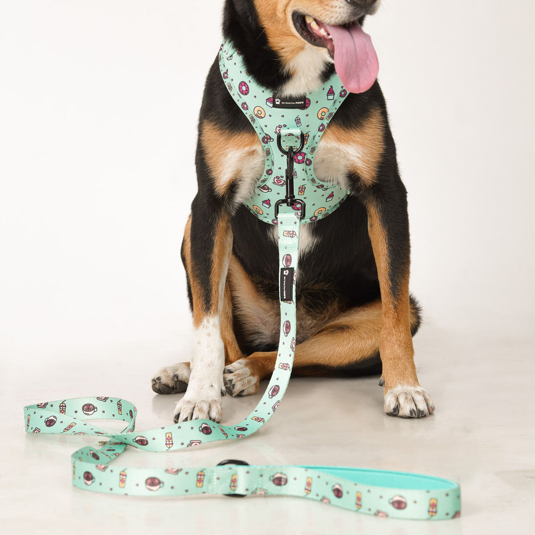 Dog wearing matching Green Donut leash and harness set for outdoor walks