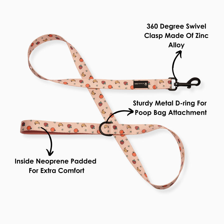 Close-up of pink fruit pattern dog leash with metal hook for safety