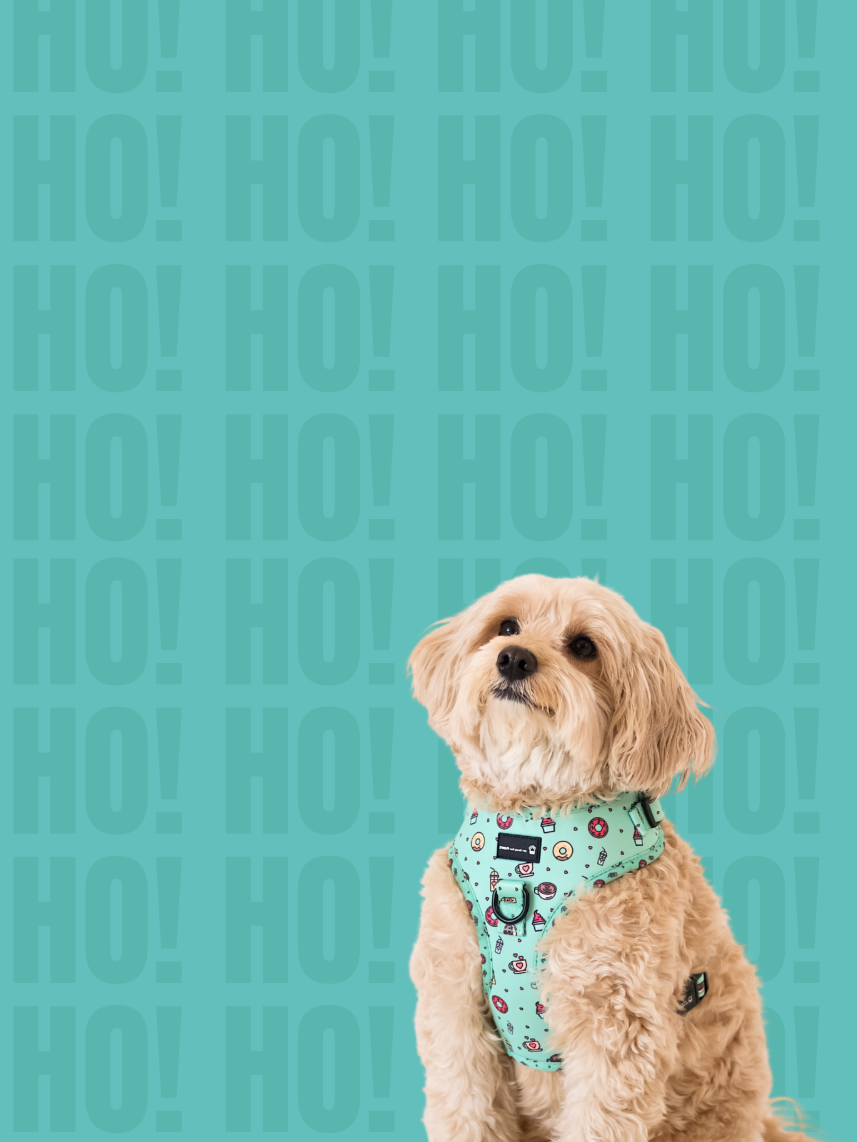 新品未使用マサコテラニシPAWPAW（ポポー） ポンポンツイードジャケット My Love for Paws – Modern & Stylish Pet Products for Happy Pups