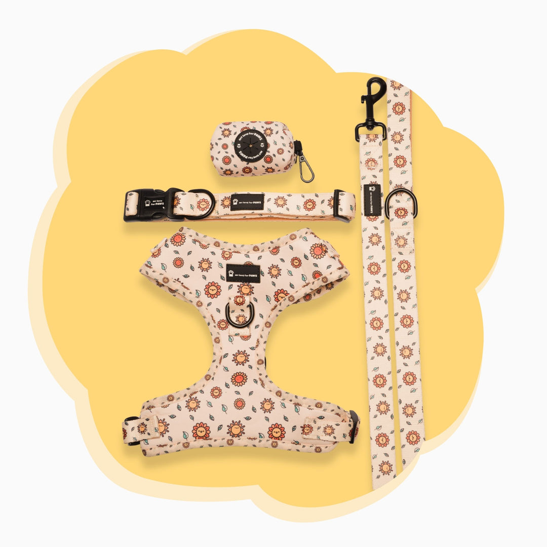 Sunny Side Up Pet Bundle – Leash, Collar, Harness and Poop Bag for Dogs