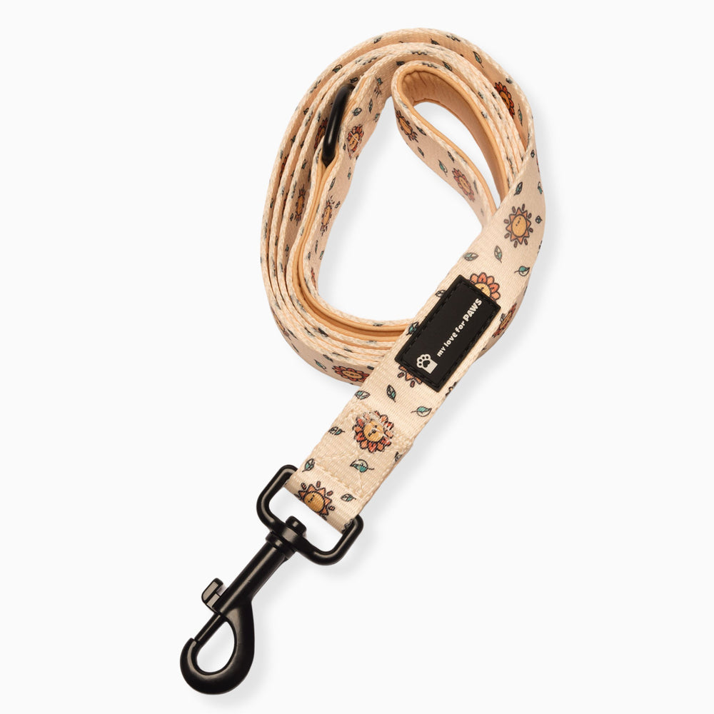 Sunny Side Up Dog Leash – Durable and Stylish Walking Lead