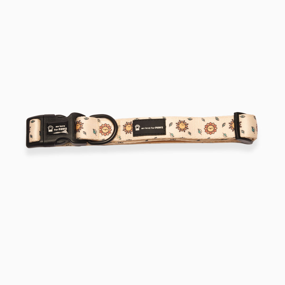 Sunny Side Up Dog Collar – Adjustable and Comfortable Pet Collar