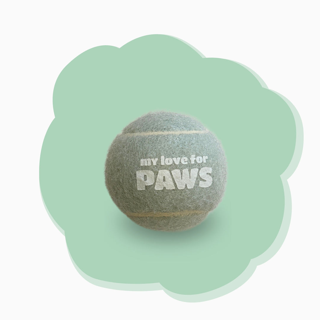 Durable Dog Tennis Ball – Safe Non-Toxic Fetch Toy for Dogs