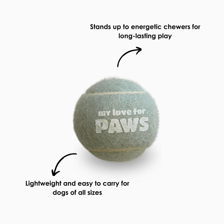 Safe Dog Tennis Ball – Non-Toxic Fetch Ball with Training Size Guide