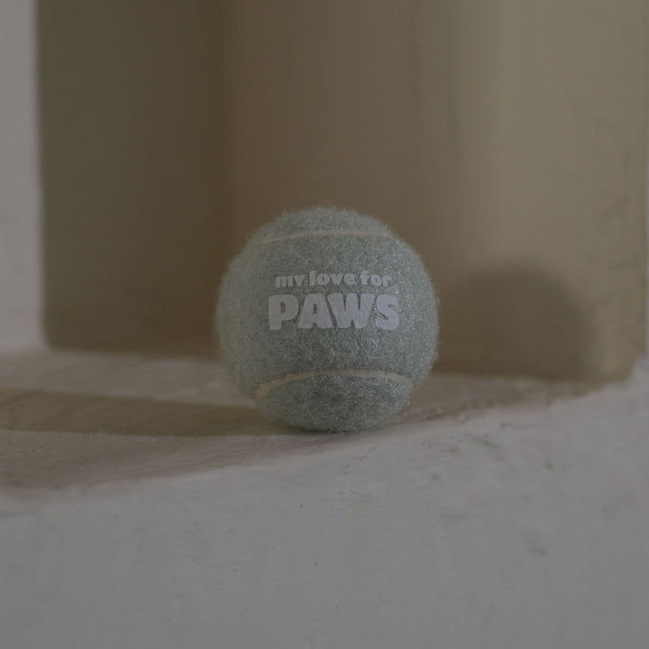 Durable Dog Tennis Ball – Lightweight and Chew-Resistant Fetch Toy