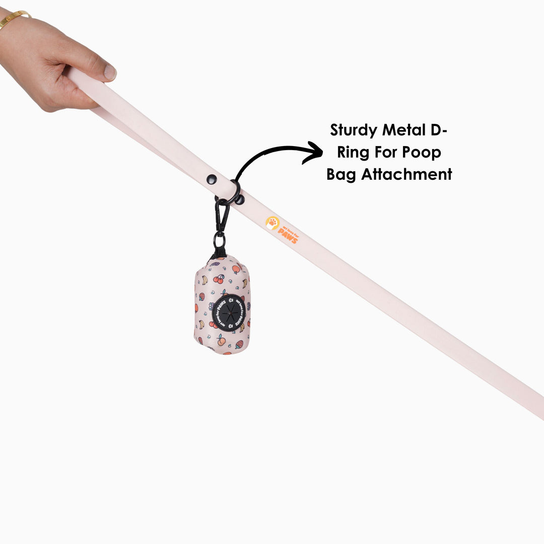 Durable, Stylish & Safe for Pets